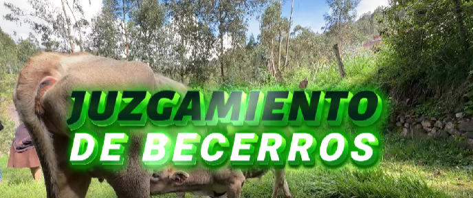 Top Camper Trailer Towing Tips