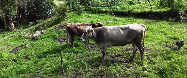 Top Camper Trailer Towing Tips