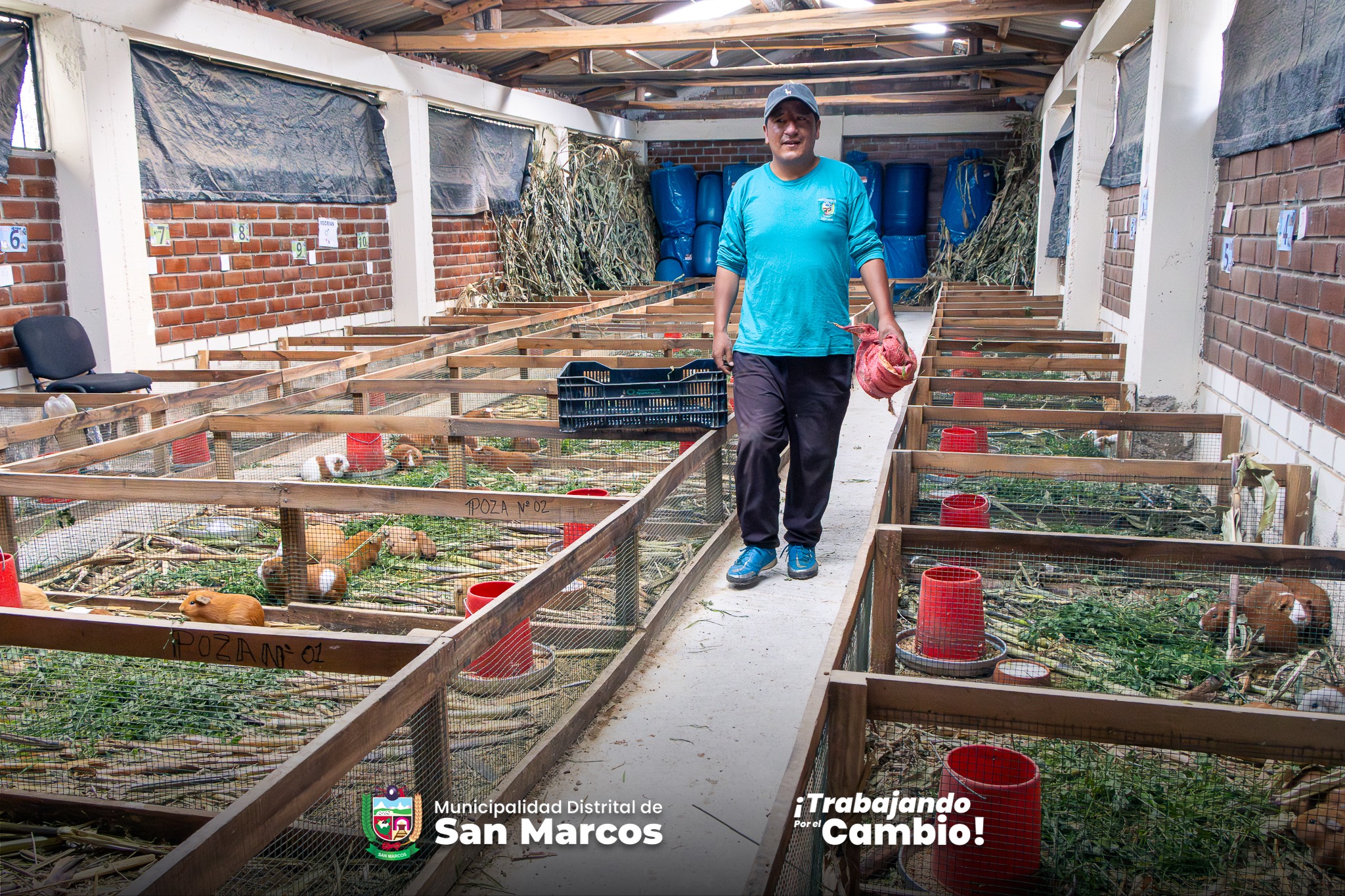 Top Camper Trailer Towing Tips