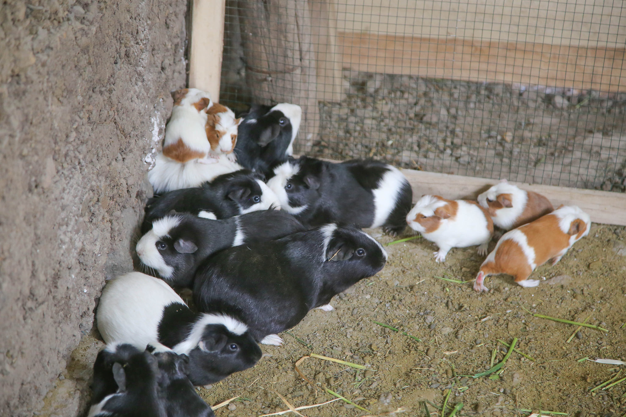 Top Camper Trailer Towing Tips